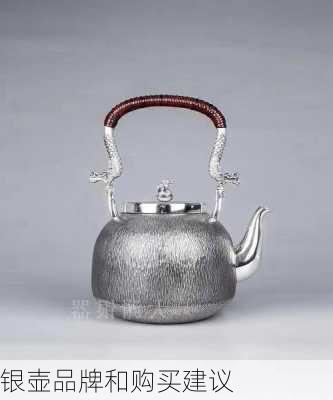 银壶品牌和购买建议