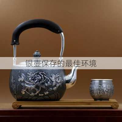 银壶保存的最佳环境