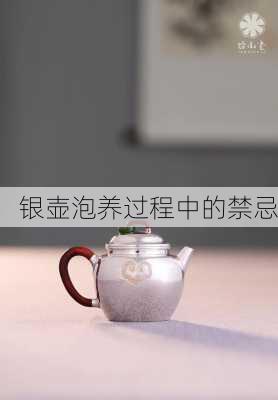 银壶泡养过程中的禁忌