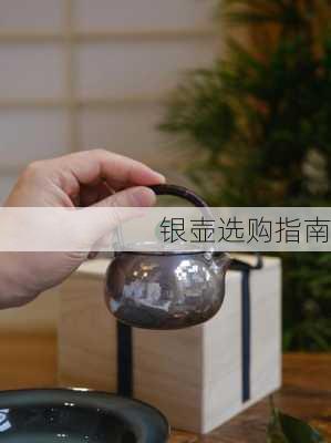银壶选购指南