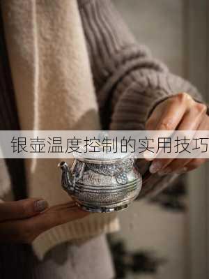银壶温度控制的实用技巧