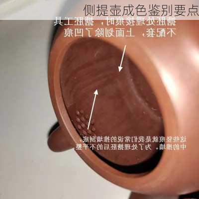 侧提壶成色鉴别要点