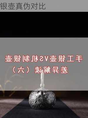 银壶真伪对比