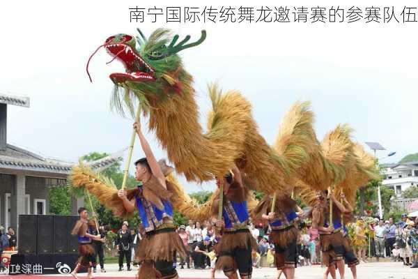 南宁国际传统舞龙邀请赛的参赛队伍