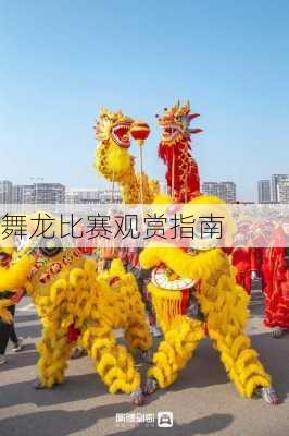 舞龙比赛观赏指南