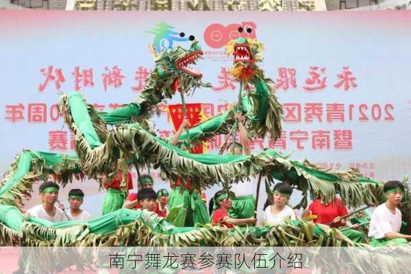 南宁舞龙赛参赛队伍介绍
