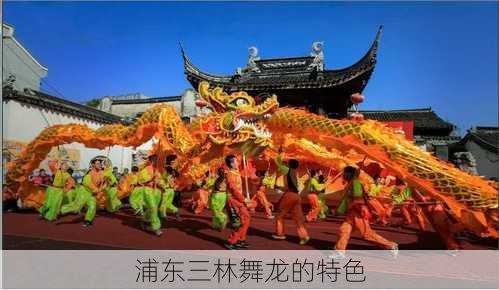 浦东三林舞龙的特色