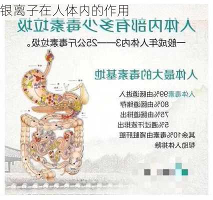 银离子在人体内的作用