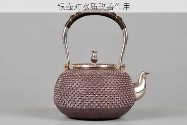 银壶对水质改善作用