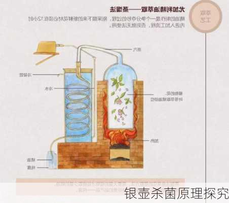 银壶杀菌原理探究