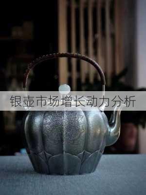 银壶市场增长动力分析