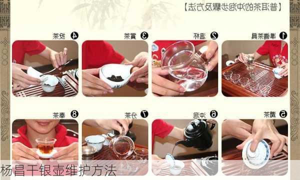 杨昌干银壶维护方法