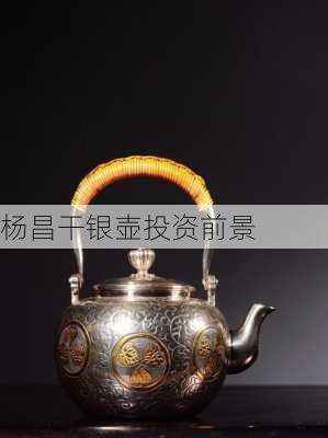 杨昌干银壶投资前景