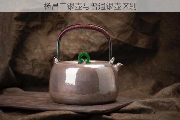 杨昌干银壶与普通银壶区别