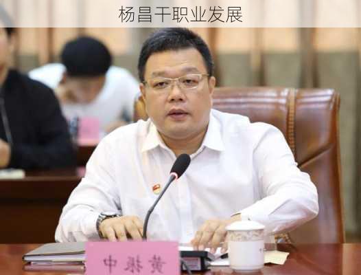 杨昌干职业发展