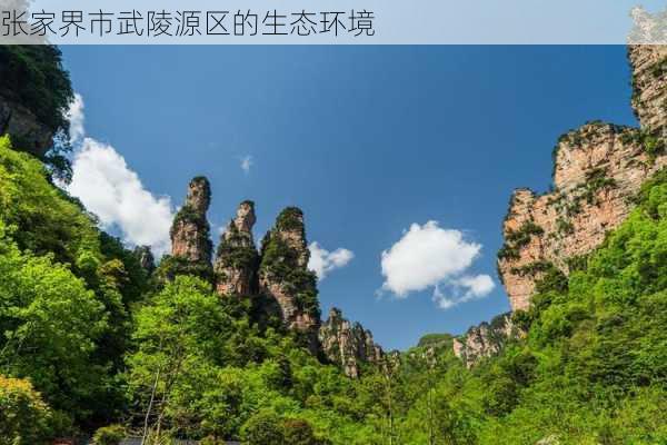 张家界市武陵源区的生态环境