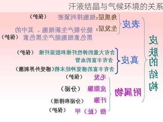 汗液结晶与气候环境的关系