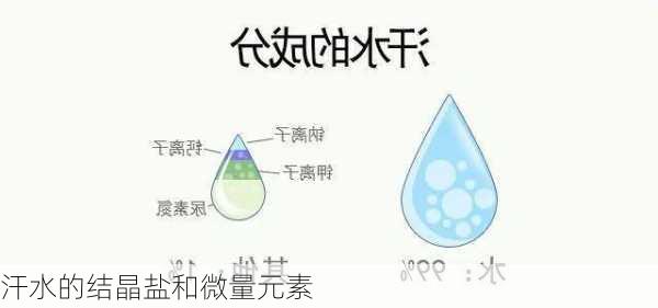 汗水的结晶盐和微量元素