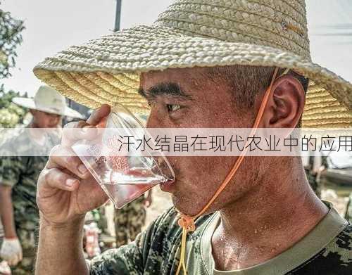 汗水结晶在现代农业中的应用
