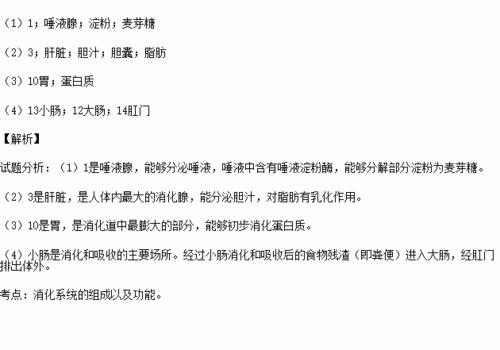 汗水结晶肥效研究