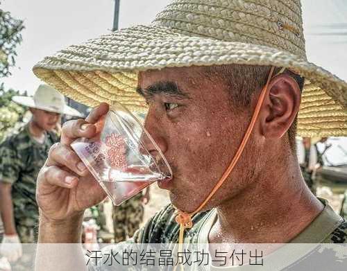 汗水的结晶成功与付出