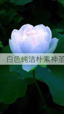 白色纯洁朴素神圣