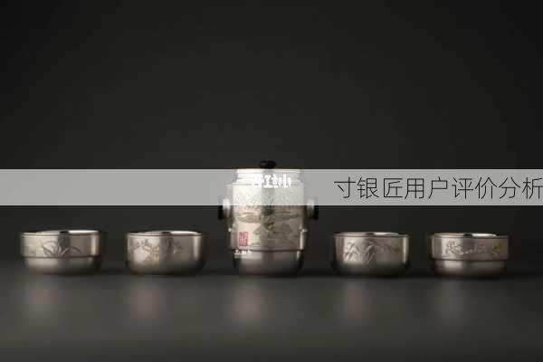 寸银匠用户评价分析