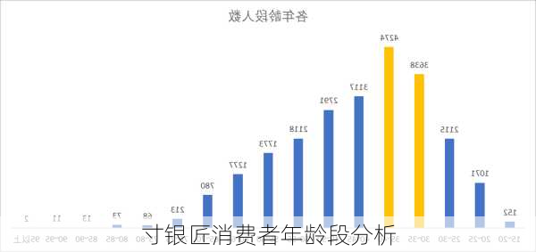 寸银匠消费者年龄段分析