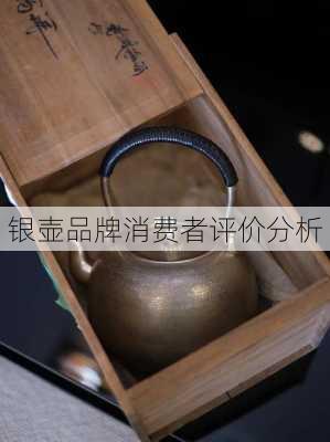 银壶品牌消费者评价分析