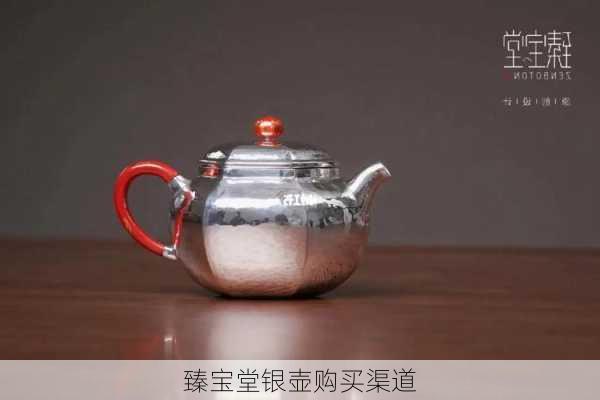 臻宝堂银壶购买渠道