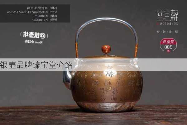 银壶品牌臻宝堂介绍
