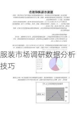服装市场调研数据分析技巧