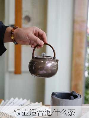 银壶适合泡什么茶