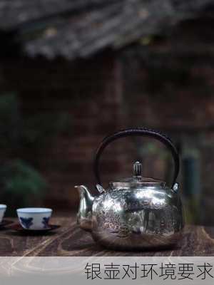 银壶对环境要求
