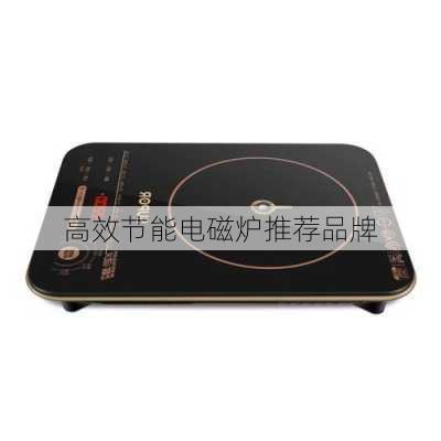高效节能电磁炉推荐品牌