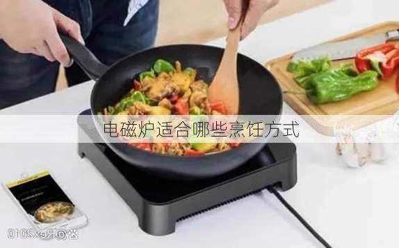 电磁炉适合哪些烹饪方式