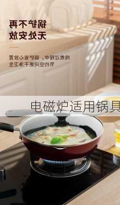 电磁炉适用锅具