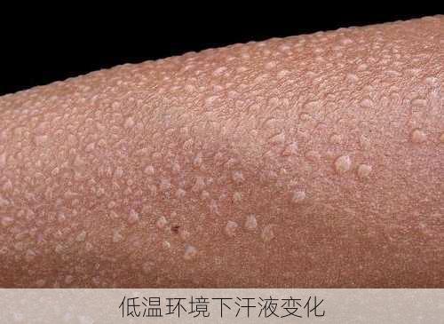 低温环境下汗液变化