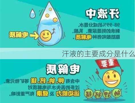 汗液的主要成分是什么