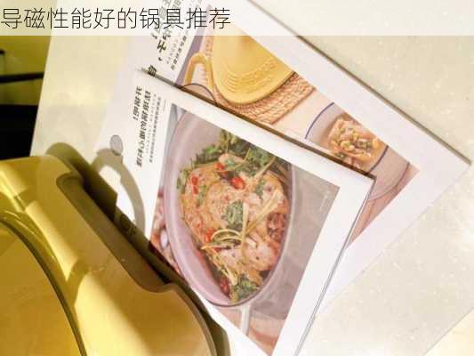 导磁性能好的锅具推荐