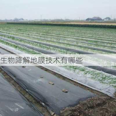 生物降解地膜技术有哪些