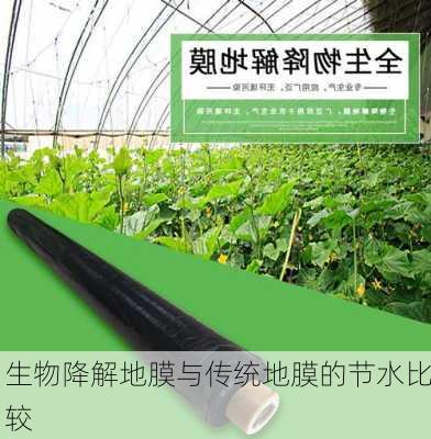 生物降解地膜与传统地膜的节水比较