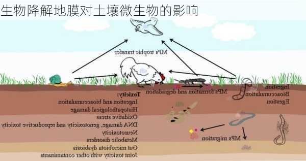 生物降解地膜对土壤微生物的影响