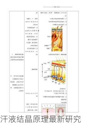 汗液结晶原理最新研究