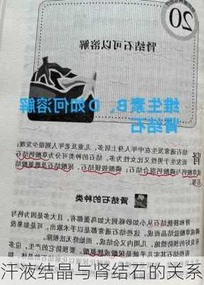 汗液结晶与肾结石的关系