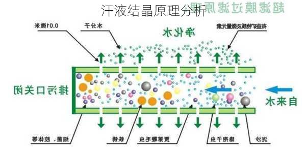 汗液结晶原理分析