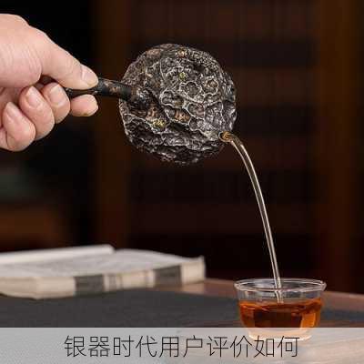 银器时代用户评价如何