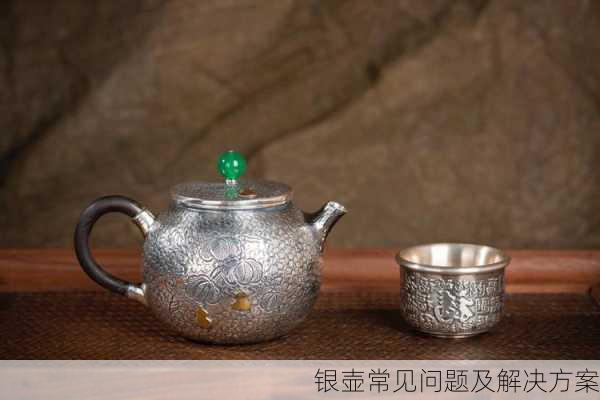 银壶常见问题及解决方案