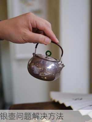 银壶问题解决方法