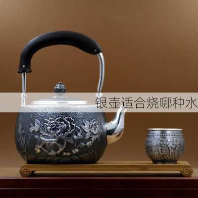 银壶适合烧哪种水